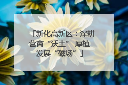 新化高新区：深耕营商“沃土” 厚植发展“磁场”