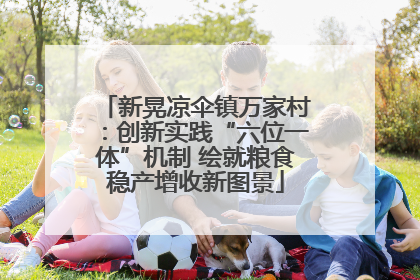新晃凉伞镇万家村：创新实践“六位一体”机制 绘就粮食稳产增收新图景