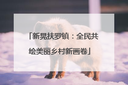 新晃扶罗镇：全民共绘美丽乡村新画卷