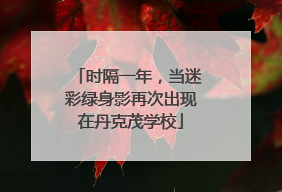 时隔一年，当迷彩绿身影再次出现在丹克茂学校