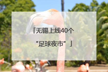 无锡上线40个“足球夜市”