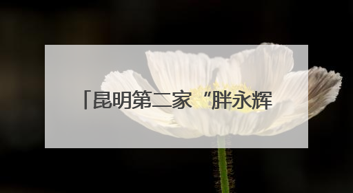 昆明第二家“胖永辉”金地中心店将于6月27日调改开业