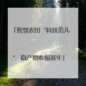 智慧农田“科技范儿” 稳产增收根基牢