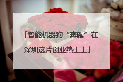 智能机器狗“奔跑”在深圳这片创业热土上