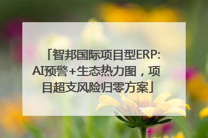 智邦国际项目型ERP:AI预警+生态热力图，项目超支风险归零方案