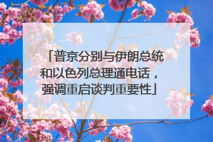 普京分别与伊朗总统和以色列总理通电话，强调重启谈判重要性