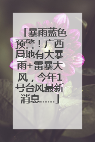 暴雨蓝色预警！广西局地有大暴雨+雷暴大风，今年1号台风最新消息……