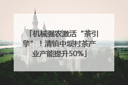 机械强农激活“茶引擎”！清镇中坝村茶产业产能提升50%