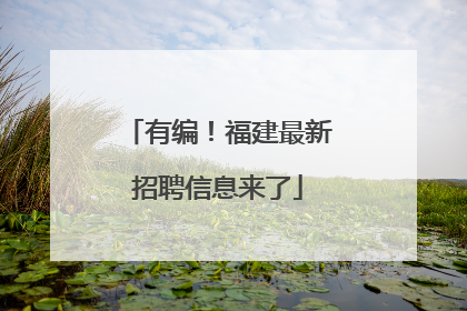 有编！福建最新招聘信息来了