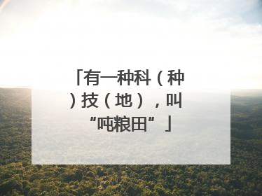 有一种科（种）技（地），叫“吨粮田”