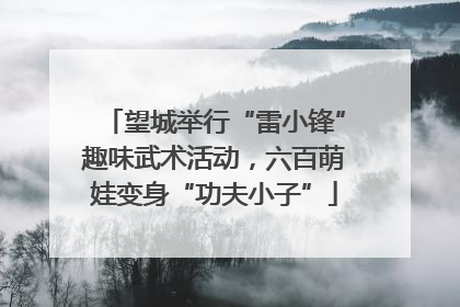 望城举行“雷小锋”趣味武术活动，六百萌娃变身“功夫小子”