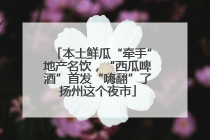 本土鲜瓜“牵手”地产名饮，“西瓜啤酒”首发“嗨翻”了扬州这个夜市