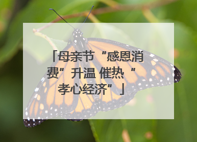 母亲节“感恩消费”升温 催热“孝心经济”