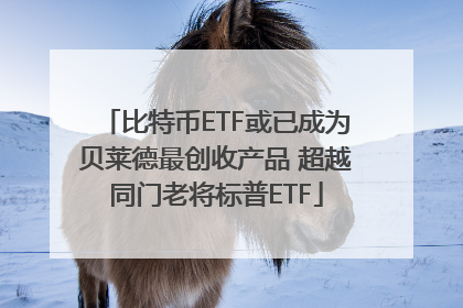 比特币ETF或已成为贝莱德最创收产品 超越同门老将标普ETF