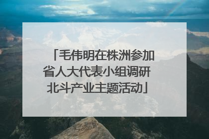 毛伟明在株洲参加省人大代表小组调研北斗产业主题活动