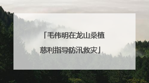 毛伟明在龙山桑植慈利指导防汛救灾