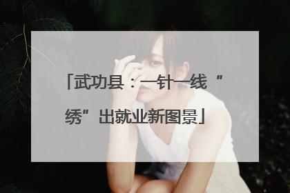 武功县：一针一线“绣”出就业新图景