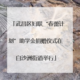 武昌区妇联“春蕾计划”助学金捐赠仪式在白沙洲街道举行