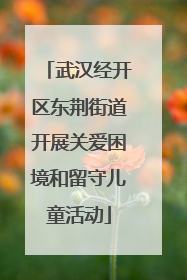 武汉经开区东荆街道开展关爱困境和留守儿童活动