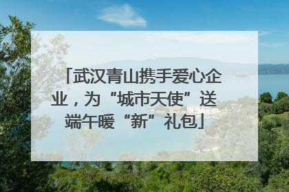 武汉青山携手爱心企业，为“城市天使”送端午暖“新”礼包