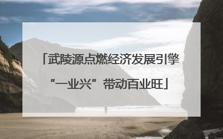武陵源点燃经济发展引擎 “一业兴”带动百业旺