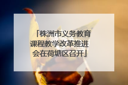 株洲市义务教育课程教学改革推进会在荷塘区召开