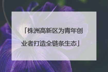 株洲高新区为青年创业者打造全链条生态