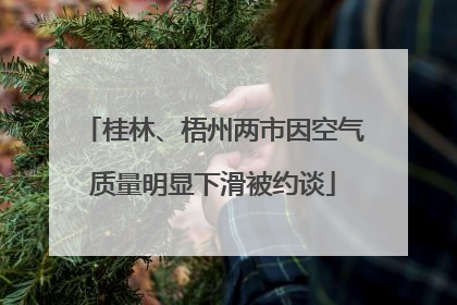 桂林、梧州两市因空气质量明显下滑被约谈