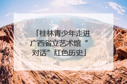 桂林青少年走进广西省立艺术馆“对话”红色历史