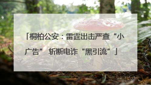 桐柏公安：雷霆出击严查“小广告” 斩断电诈“黑引流”