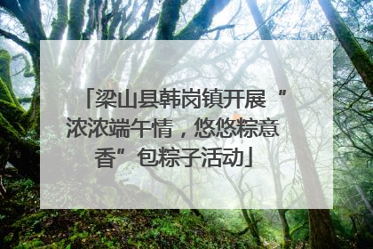 梁山县韩岗镇开展“浓浓端午情，悠悠粽意香”包粽子活动