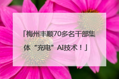 梅州丰顺70多名干部集体“充电”AI技术！