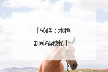 横峰：水稻制种插秧忙