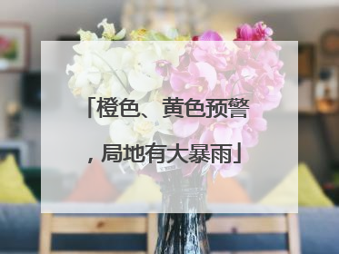 橙色、黄色预警，局地有大暴雨