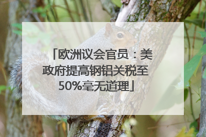 欧洲议会官员：美政府提高钢铝关税至50%毫无道理