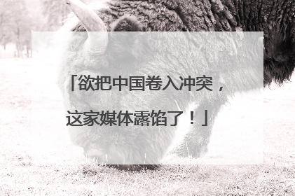 欲把中国卷入冲突，这家媒体露馅了！
