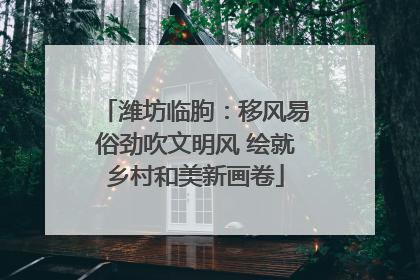 潍坊临朐：移风易俗劲吹文明风 绘就乡村和美新画卷