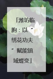 潍坊临朐：以“绣花功夫”赋能镇域蝶变