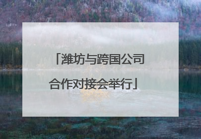 潍坊与跨国公司合作对接会举行