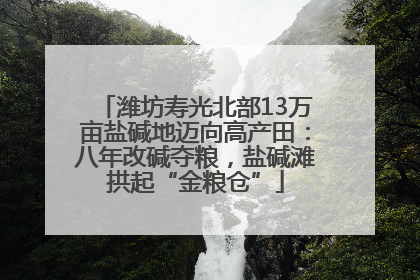 潍坊寿光北部13万亩盐碱地迈向高产田：八年改碱夺粮，盐碱滩拱起“金粮仓”