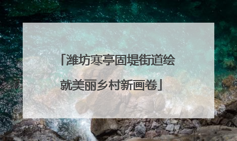 潍坊寒亭固堤街道绘就美丽乡村新画卷