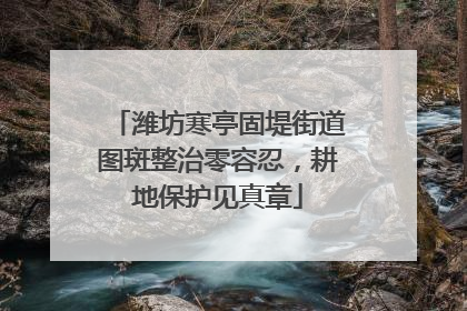 潍坊寒亭固堤街道图斑整治零容忍，耕地保护见真章