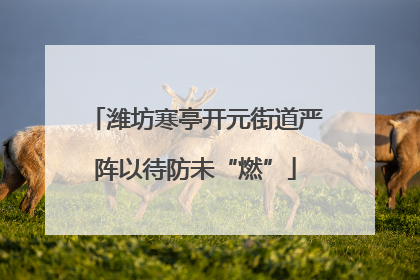 潍坊寒亭开元街道严阵以待防未“燃”