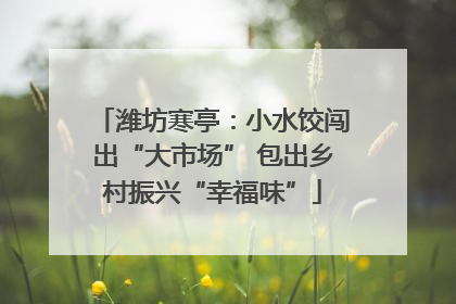 潍坊寒亭：小水饺闯出“大市场” 包出乡村振兴“幸福味”