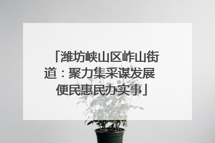 潍坊峡山区岞山街道：聚力集采谋发展 便民惠民办实事