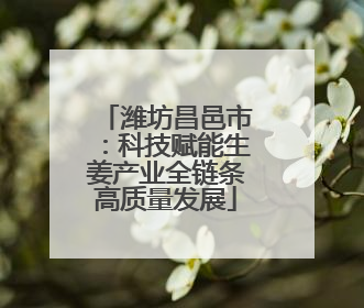 潍坊昌邑市：科技赋能生姜产业全链条高质量发展