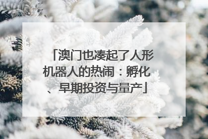 澳门也凑起了人形机器人的热闹：孵化、早期投资与量产