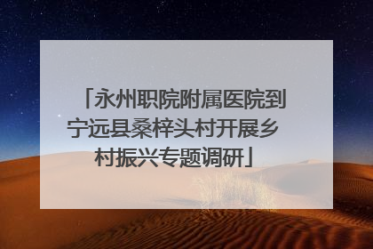 永州职院附属医院到宁远县桑梓头村开展乡村振兴专题调研