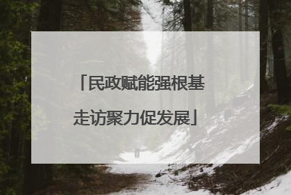 民政赋能强根基 走访聚力促发展