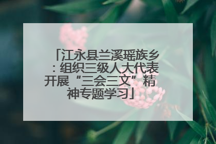 江永县兰溪瑶族乡：组织三级人大代表开展“三会三文”精神专题学习